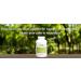 Be Healthy! Be Happy! Skin Health Pro - Skin Revitalizing Evening Primrose Softgels Superior Skin Health Supplement - Buy Online on GoSupps.com