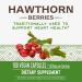 Nature's Way Premium Herbal Hawthorn Berries 530mg - 100 Vcaps, 100 Count Pack - Buy Online on GoSupps.com