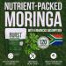 Burst 100% Organic Moringa Capsules Supports Energy Immunity & Vitality | Pure Moringa Oleifera Supplement | Rich in Vitamins Protein & Antioxidants | Vegan Non-GMO - 120 Capsules - Buy Online on GoSupps.com