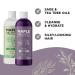 Sulfate Free Tea Tree Sage & Rosemary Shampoo & Conditioner Set for Dry Flaky Scalp - Color Safe Deep Cleansing Care for Damaged Dry Hair - 8 Fl Oz (Pack of 2) - Buy Online on GoSupps.com