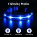 MASBRILL Light Up Dog Collar USB Rechargeable & Waterproof - Blue LED Collar for Small Medium Large Dogs - 3 Flashing Modes, Adjustable Size (M 38-50cm) - Super Bright Visibility in the Dark - Buy Online on GoSupps.com