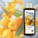 Spitzner Sauna Infusion Wellness Sea Buckthorn Concentrate 190ml - Enhance Your Sauna Experience - Buy Online on GoSupps.com