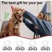 Leikedun 4 Set Loud Dog Cat Collar Bells Metal Pet Bells for Collars Pet Tracker Bells Pets Collar Charm Pendant Bells Vintage Small Bell for Pets Pendant Key Rings Silvery - Buy Online on GoSupps.com