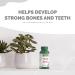 VORST Vitamin K2 D3 High Potency 120MCG/1000 IU 120 Vegan Capsules | MK7 | Essential Supplement for Healthy Bones & Teeth | Powder Pills | Alternative to Drops Gummies & Sprays | 1 Bottle 1 count (Pack of 120) - Buy Online on GoSupps.com