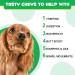 Probiotics for Dogs Pre & Probiotic Digestive Treats for Dogs Support Gut Health Digestive and Immunity Boost Heatlth & Energy for All Ages and Breeds 120 Chews Duck Flavor - Buy Online on GoSupps.com