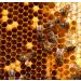 Meli Serron Greek Pine Honey (920) - Pure and Raw Honey from Greece - Buy Online on GoSupps.com