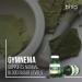 Gymnema Leaf Extract Capsules - Digestive Support - 60 Veg Capsules 450mg - Buy Online on GoSupps.com