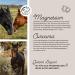 Annimally Joint Liquid for Horses 1000ml - Devil Claw Glucosamine & MSM for Joint Health - Liquid Supplement Alternative to Powder - Buy Online on GoSupps.com