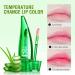 3pcs Aloe Vera Lip Gloss Set - Long Lasting, Nutritious, Moisturizing Lip Balm for Lip Treatment and Dry Lips - Color Changing Lipstick Tinted Lip Balm - Buy Online on GoSupps.com