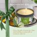 White Sage Smudge Candle for Energy Cleansing & Meditation | 6 oz Soy Wax | Aromatherapy & Home Decor | Pure & Natural Scent - Buy Online on GoSupps.com