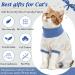Dertrun Cat Surgery Soft Romper - Anti-Lick Abdominal Wound Suit for Kittens & Cats | Surgical Cone Replacement - Blue - Buy Online on GoSupps.com