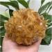Natural Raw Citrine Quartz Stone Crystal Cluster Yellow Stones Specimen Home Decoration 1pcs yuebang (Size : 450-550g) - Buy Online on GoSupps.com