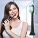 Everystep 10 Pack Replacement Toothbrush Heads for AquaSonic Black Series Electric Toothbrushes - Buy Online on GoSupps.com