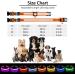 Buy Luminous LED Dog Collar - Adjustable Waterproof 7 Color Changing Light for Night Safety - Fits Small Medium & Large Dogs (38-50cm) - 2022 Orange - Buy Online on GoSupps.com