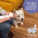 Protexin Veterinary DermalEase Mousse Maintaining Healthy Hydrated & Nourished Skin for Dogs & Cats 250ml White foam - Buy Online on GoSupps.com