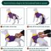 Kuoser Breathable Dog Recovery Body Suit for After Surgery - Anti-Licking & Leak Protection for Male and Female Dogs - Purple XXL (1 Pack) - Buy Online on GoSupps.com