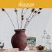Postpartum Herbal Sitz Bath for Soothing Recovery - 8 oz Bag | Birth Song Botanicals - Buy Online on GoSupps.com