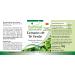 Buy Fairvital Green Tea Capsules - High Dose Vegan Supplement with Caffeine Polyphenols & EGCG - 100 Capsules - International Shipping - Buy Online on GoSupps.com