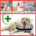 Aschpas Inflatable Break Ruff Dog Collar - Protective Layer for Long Snouts | Cat & Dog Leak Protection | Comfort After Surgery | Size M - Buy Online on GoSupps.com