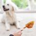 8in1 Triple Flavor Wings Chew Sticks for Dogs - Meat-Filled Chew Snacks 113g (Approx. 6 Pieces) - International Shipping Available - Buy Online on GoSupps.com