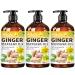 3 Pack Ginger Oil,Ginger Massage Oil with Arnica Oil,Vitamin E Oil and Grape Seed Oil,Ginger Oil for Lymphatic Drainage,100% Natural Massage Oil Ginger Essential Oil for Warming and Relaxing