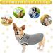 Cozy Winter Dog Sweaters | Soft & Warm Knitted Coats for Small to 4XL Pets - Buy Online on GoSupps.com