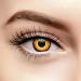 Chromaview Werewolf Fire Colored Contact Lenses Without Prescription Orange (Daily Lenses)