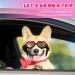 2 Pcs Dog Sunglasses Heart Shape Dog Goggles Small Medium Breed Dog Eye Protection Goggles Anti Fog Glasses with Adjustable Strap for Dog Pet Windproof Foldable Eye Wear (Black  Pink) - Buy Online on GoSupps.com