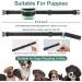 MASBRILL Anti Bark Collar for Large Medium Small Dogs - Dog Barking Collar with Vibration & Sound Harmless Training - Stop Dog Barking Deterrent Device 7 Sensitivity Adjustable No Bark Collar - Green - Buy Online on GoSupps.com
