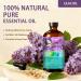 Lilac Essential Oil 4 Fl Oz and Coconut Essential Oil 4 Fl Oz - Lilac & Coconut Oil for Diffuser Aromatherapy Home Fragrance Skin & Hair Care DIY Candle & Soap Making Yoga - Buy Online on GoSupps.com