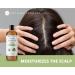 Kate Blanc 16oz USDA Certified Organic Castor Oil - Cold-Pressed, 100% Pure & Hexane-Free - Promotes Hair, Eyelash, and Eyebrow Growth - Moisturizes Dry Skin and Body - Buy Online on GoSupps.com