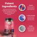 Womens Fertility & Hormone Balance Support - Myo-Inositol, D-Chiro Inositol & Choline Supplement - Buy Online on GoSupps.com