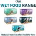 Burns Pet Natural Nutrition Adult and Senior Wet Dog Food - Wild Fish, Carrots, Organic Brown Rice - 12 x 150gm - Buy Online on GoSupps.com