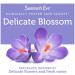 Summer's Eve 5-in-1 Cleansing Wash Delicate Blossom - 15 fl oz (444 ml) | pH Balanced Feminine Hygiene - Buy Online on GoSupps.com