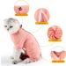 Buy Lianzimau After Op Cat Body - Long-Sleeved Recovery Wear for Cats | Orange Streaked (1 Pack) - Buy Online on GoSupps.com
