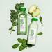 Briogeo Superfoods Matcha and Apple Replenishing Shampoo - Vegan, Phthalate & Paraben-Free | 12.5 oz - Balanced Hair and Scalp Support - Buy Online on GoSupps.com