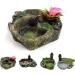 Eurobuy Reptile Dish Feed Feeding Water Bowl Resin Reptile Bowl Water Bowl for Snake Tortoise Lizard SP-008 - Buy Online on GoSupps.com