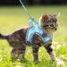 Shop BriFit Cat Dishes - Leash-Resistant Adjustable Cat Vest & Harness | Reflective Stripes for Cats & Puppies | Blue XS - International Shipping Available - Buy Online on GoSupps.com