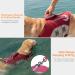 ThinkPet Dog Life Jacket - Adjustable Reflective Lifesaver & Buoyancy Vest for Safe Water Fun - Red Size S - Buy Online on GoSupps.com