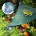 Tnfeeon Mesh Reptile Triangular Hanging Net Hammock - Green (M) - Buy Online on GoSupps.com