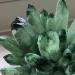Natural Crystal Cluster Green Ghost Quartz Specimen Green Crystal Cluster Point Ornament Home Decor 500-600g Crystal Cluster - Buy Online on GoSupps.com