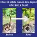 Dr. Pooper Accelerator Septic Tank Treatment - Organic Maintenance Liquid for Odor Elimination & Clearing Organic Solids - Safe for All Septic Systems - Buy Online on GoSupps.com