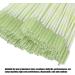 Mascara Wand Eyelash Brush Disposable Eyelash Spoolie for Women Beauty Girl Eyelash(green) - Buy Online on GoSupps.com