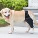 Hip Brace for Dogs - Flexible Hip Brace for Dogs Dog Hip Joint Brace for Torn ACL Patella Luxation Osteoarthritis Limping from Joint Hip Dysplasia Kot-au Black Medium - Buy Online on GoSupps.com