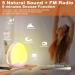 Light Alarm Clock - Sunrise Sunset Simulation 5 Natural Sounds 12 Color Options Adjustable Brightness for Adults & Kids | Best Daylight Alarm Clock for Peaceful Wake-Up - Buy Online on GoSupps.com