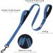 Vivaglory Traffic Handle Dog Leash - 1.2m Reflective & Padded for Training - Strong Metal Hook - Blue - Buy Online on GoSupps.com