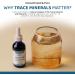  Ultra Lyte Ultra Lyte Fulvic Acid 250 mg Fulvic Acid Food Supplement Concentrated Fulvic Minerals Non-GMO and Gluten-Free Liquid Food Supplement for Digestive Support - Buy Online on GoSupps.com