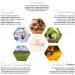 Alcohol-Free Propolis Drops - Pure Beekeeping Quality Safe for Kids & Pets - 30ml Propolis Extract - Buy Online on GoSupps.com