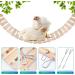KATUMO Chicken Swing & Perch Toy for Coop - Natural Wood Ladder for Birds, Parrots - 44.09'' Length - Buy Online on GoSupps.com