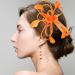 2 in 1 Feather Fascinator Hair Clip and Brooch Pin Bridal Hair Fascinator Halloween Hair Decoration for Girls - Buy Online on GoSupps.com